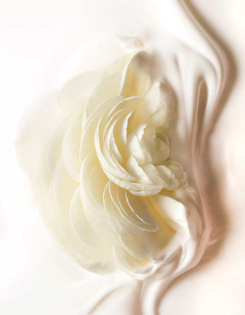 Stephan Abry | Portfolio 