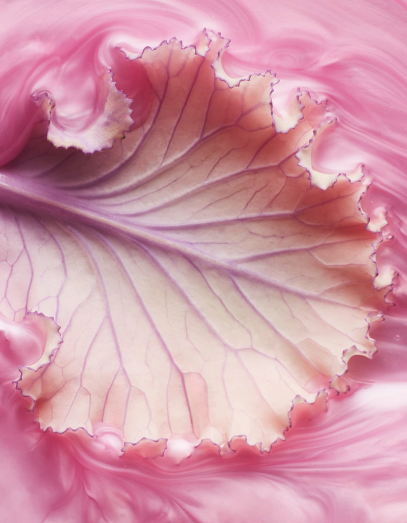 Stephan Abry | Portfolio 