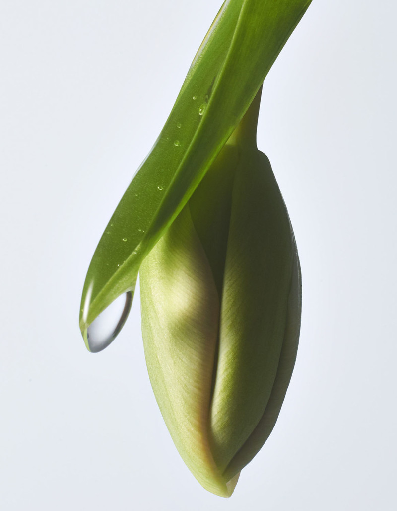 Stephan Abry | Portfolio 