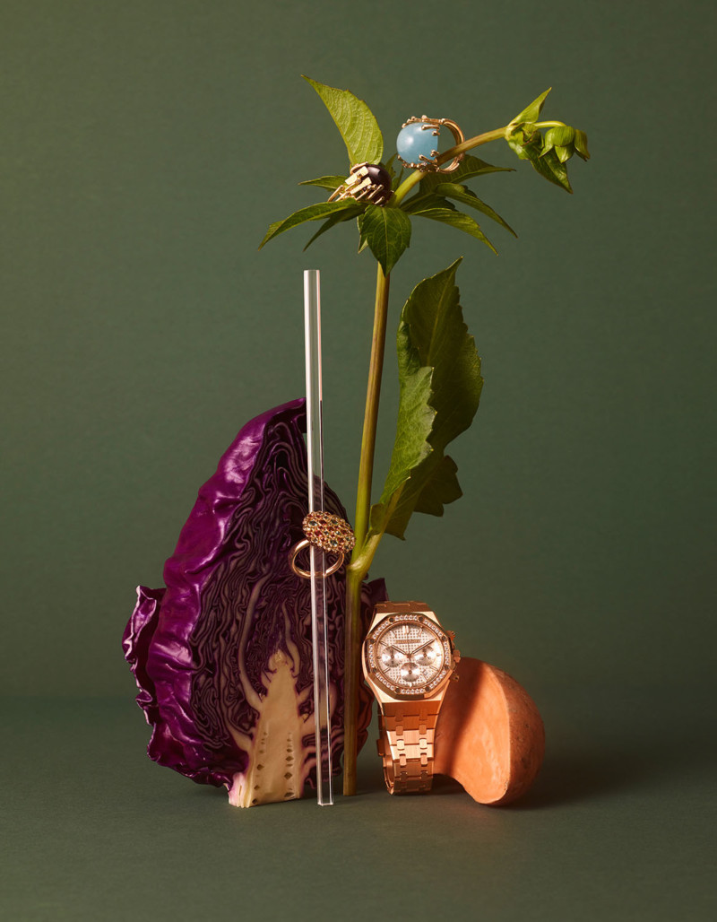 Stephan Abry | Portfolio 