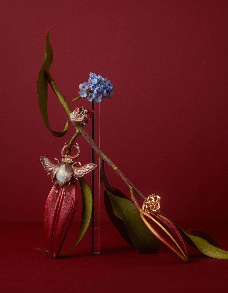 Stephan Abry | Portfolio 