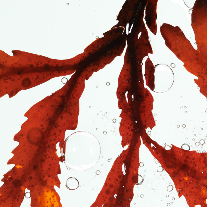 Stephan Abry | Portfolio 