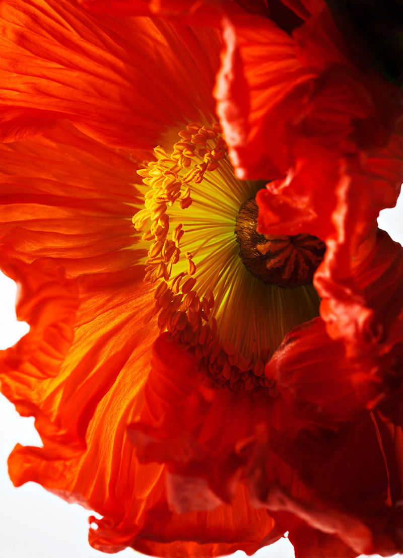 Stephan Abry | Portfolio 