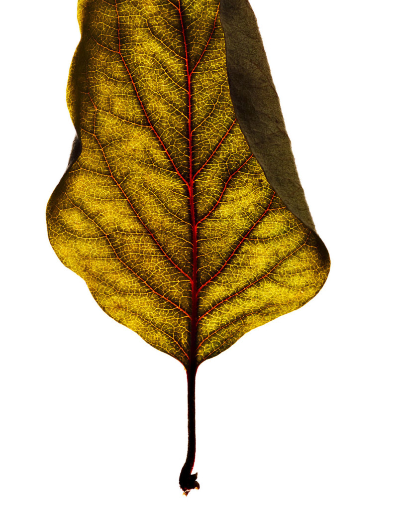 Stephan Abry | Portfolio 