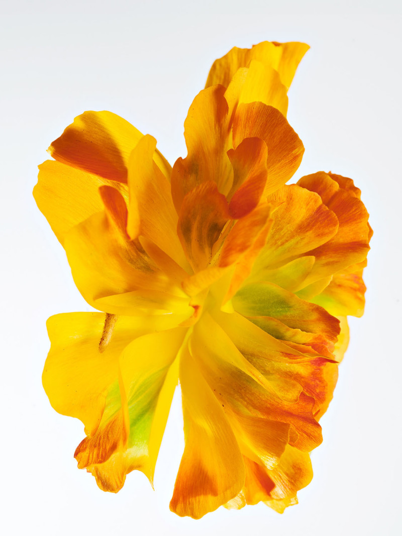 Stephan Abry | Portfolio 