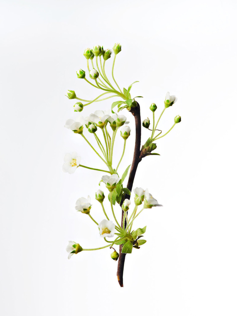 Stephan Abry | Portfolio 