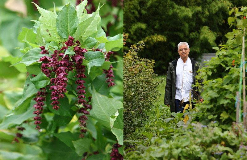 Christophe Boulze | Report 